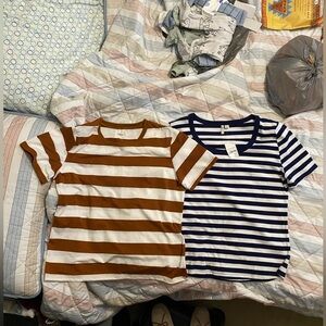 Cato ladies Striped Tees - Brown and Navy